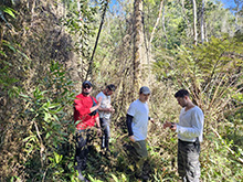 yaguarete_083.jpg