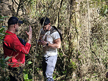 yaguarete_084.jpg