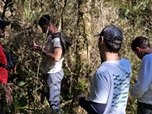 yaguarete_085.jpg