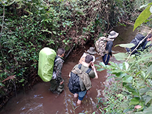 yanomami_231.jpg