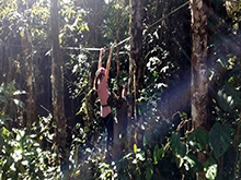 yanomami_236.jpg