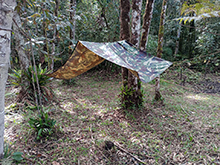 yanomami_238.jpg
