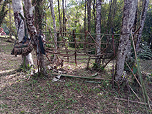 yanomami_242.jpg
