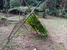 yanomami_247.jpg