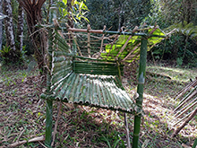 yanomami_250.jpg