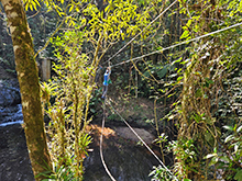 yanomami_258.jpg