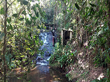 yanomami_260.jpg