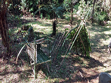 yanomami_261.jpg