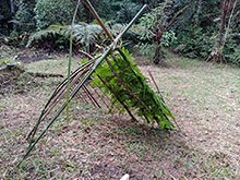 yanomami_263.jpg