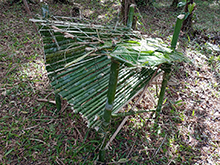 yanomami_264.jpg