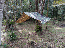 yanomami_265.jpg
