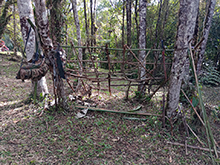 yanomami_266.jpg