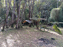 yanomami_267.jpg