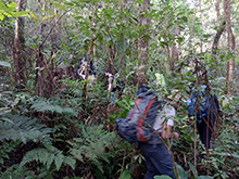 yanomami_282.jpg