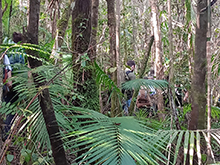 yanomami_284.jpg