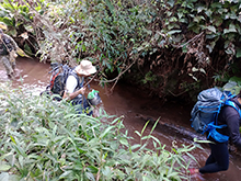 yanomami_287.jpg