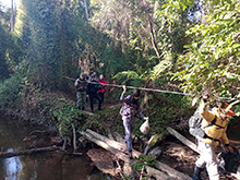 yanomami_307.jpg