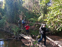 yanomami_308.jpg