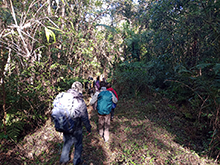 yanomami_313.jpg