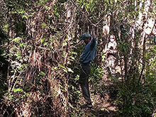 yanomami_315.jpg