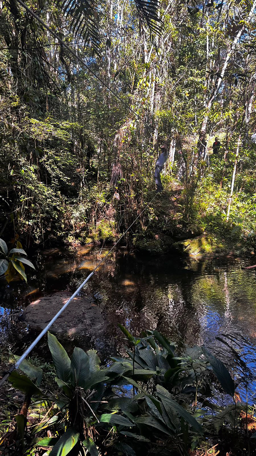 yanomami_357.jpg